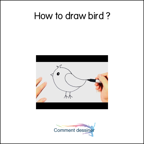 How to draw bird